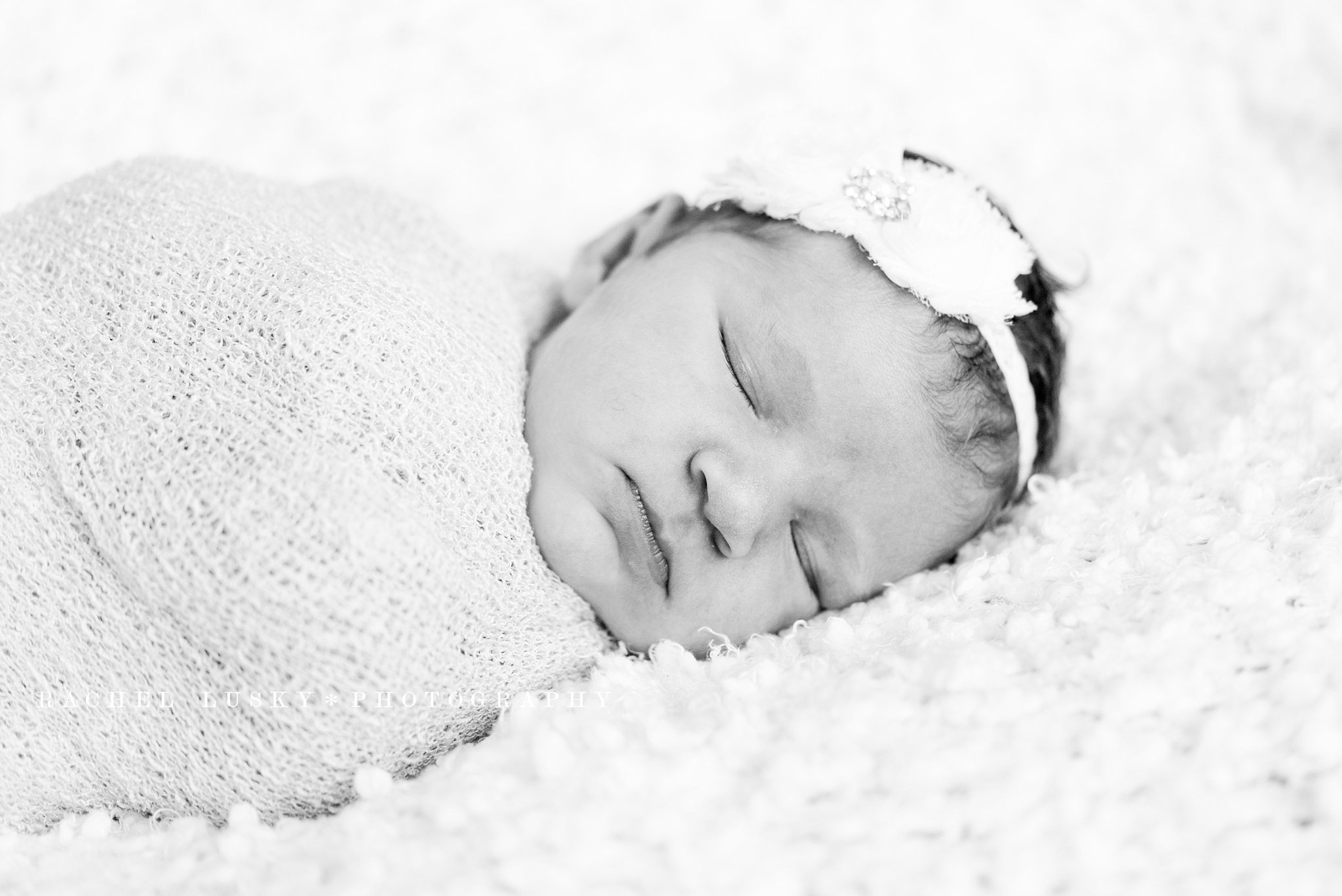 Erie PA Newborn Photography